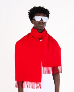 Diverse Variety of Cashmere Scarves